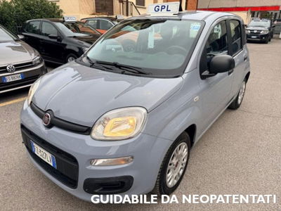 Fiat Panda 1.2 EasyPower Easy usata
