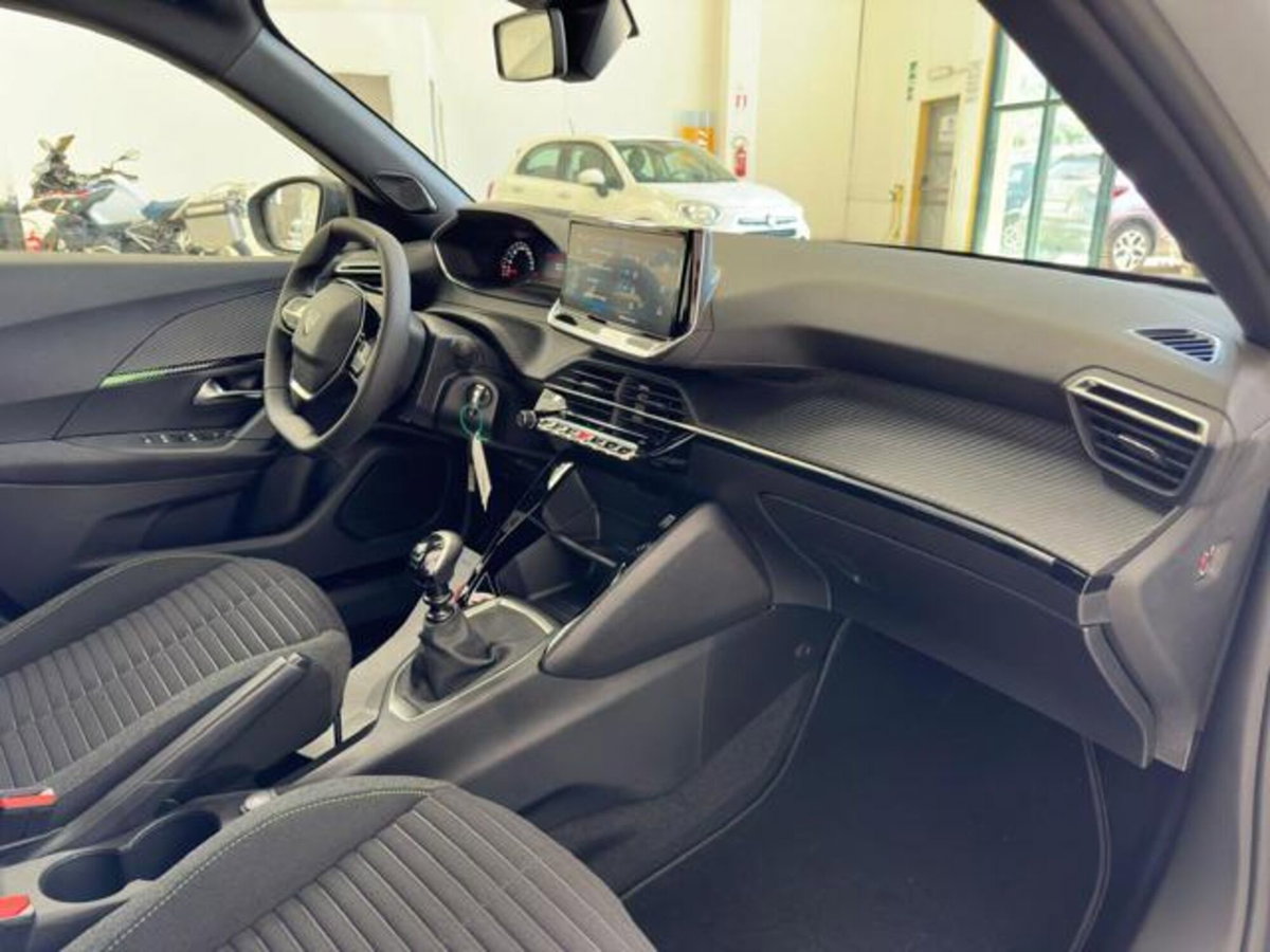 Peugeot 2008 PureTech 100 S&S Active (20)