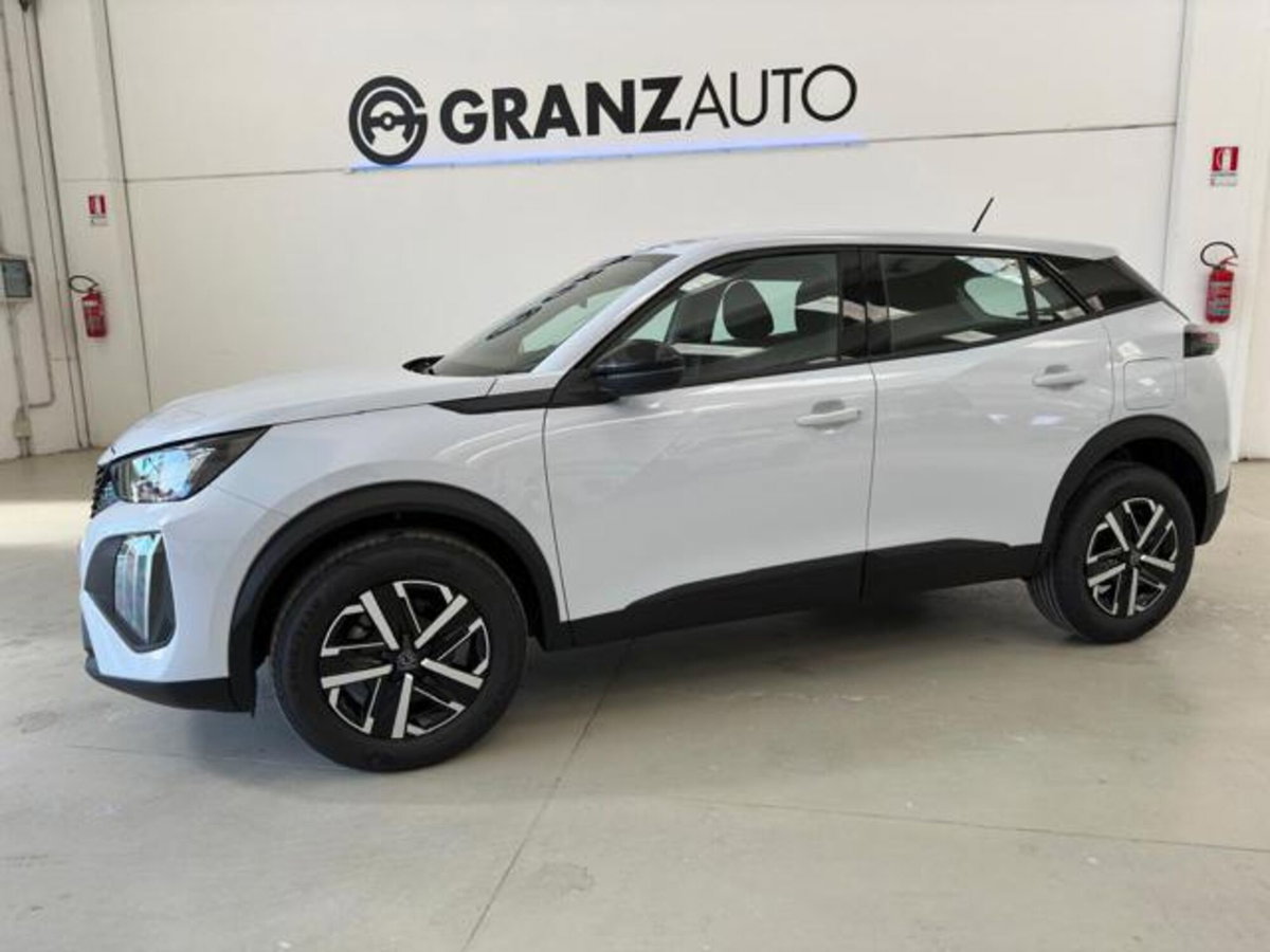 Peugeot 2008 PureTech 100 S&S Active (3)