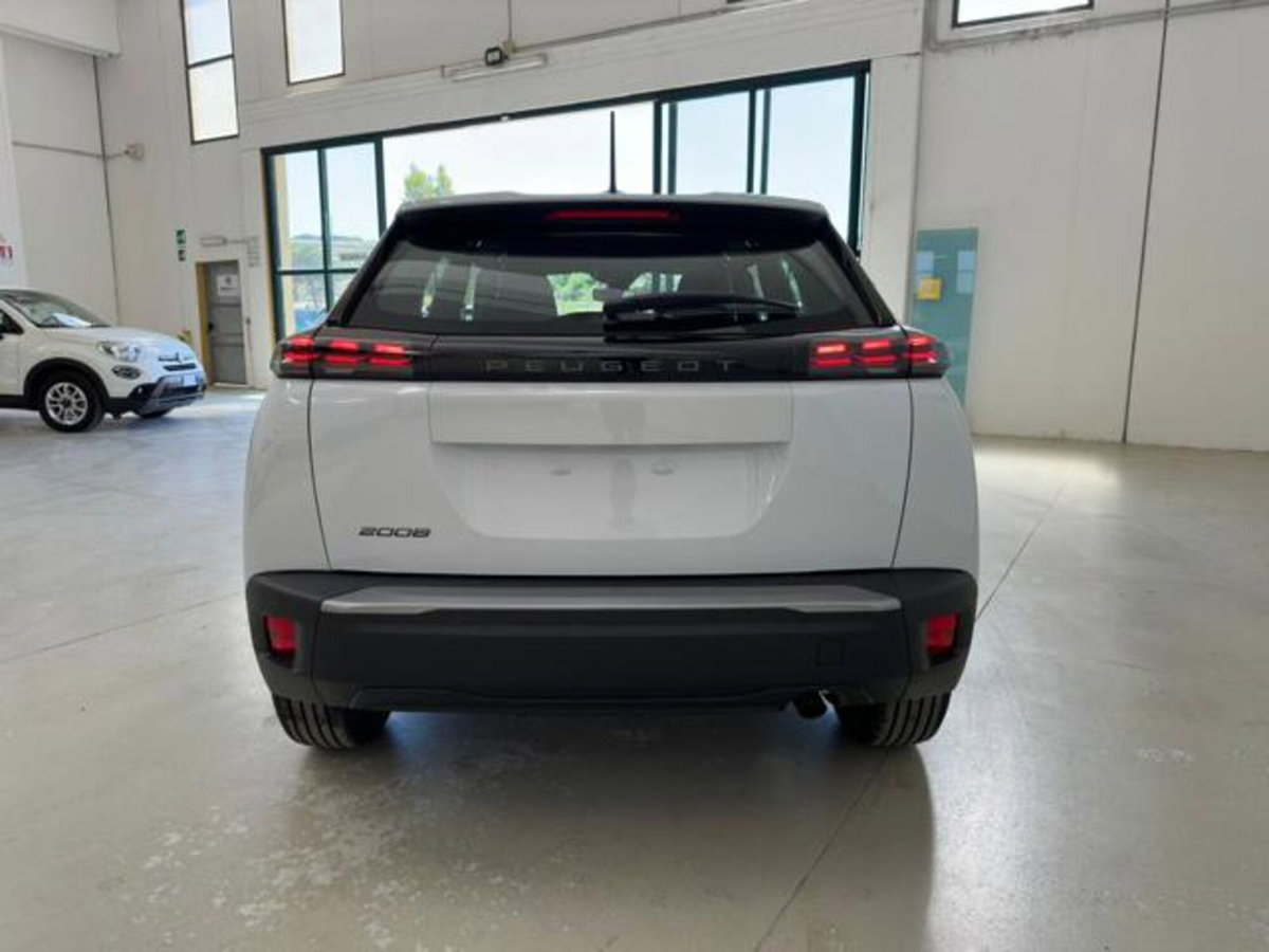 Peugeot 2008 PureTech 100 S&S Active (4)
