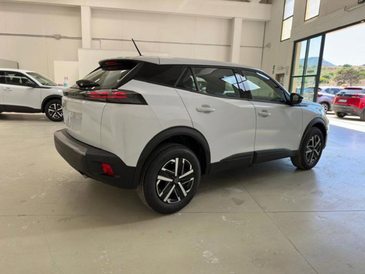 Peugeot 2008 PureTech 100 S&S Active (5)