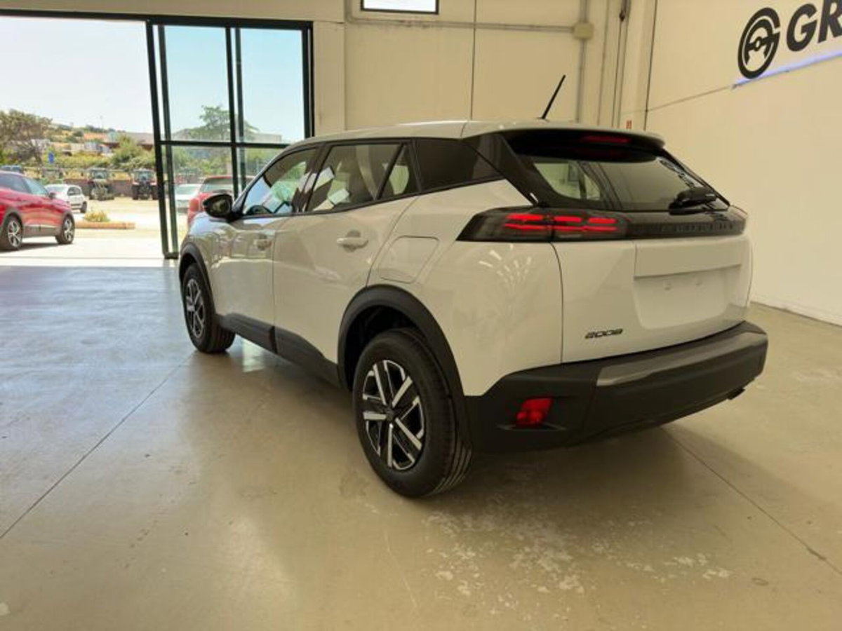 Peugeot 2008 PureTech 100 S&S Active (6)