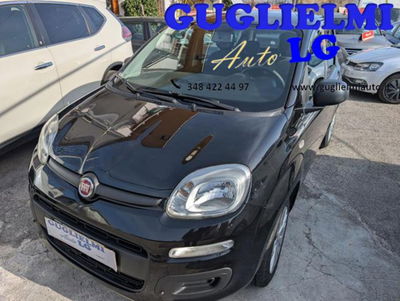 Fiat Panda 1.2 Easy usata