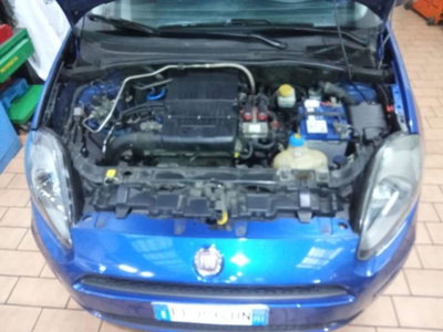Fiat Punto Evo 1.4 5 porte Dynamic Natural Power (12)