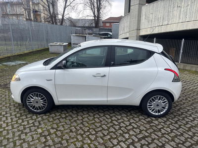 Lancia Ypsilon 1.2 69 CV 5 porte Platinum usata