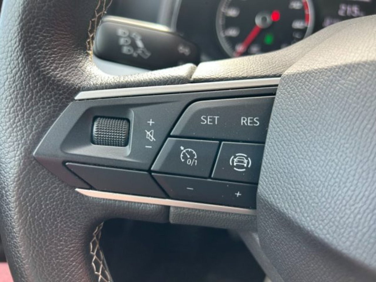 SEAT Ibiza 1.0 TGI 5 porte Business (14)