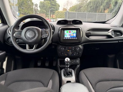 Jeep Renegade 1.6 Mjt 130 CV Limited (12)