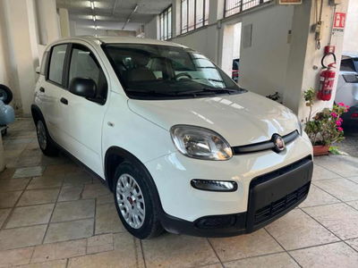 Fiat Panda 1.0 firefly hybrid s&s 70cv 5p.ti usata