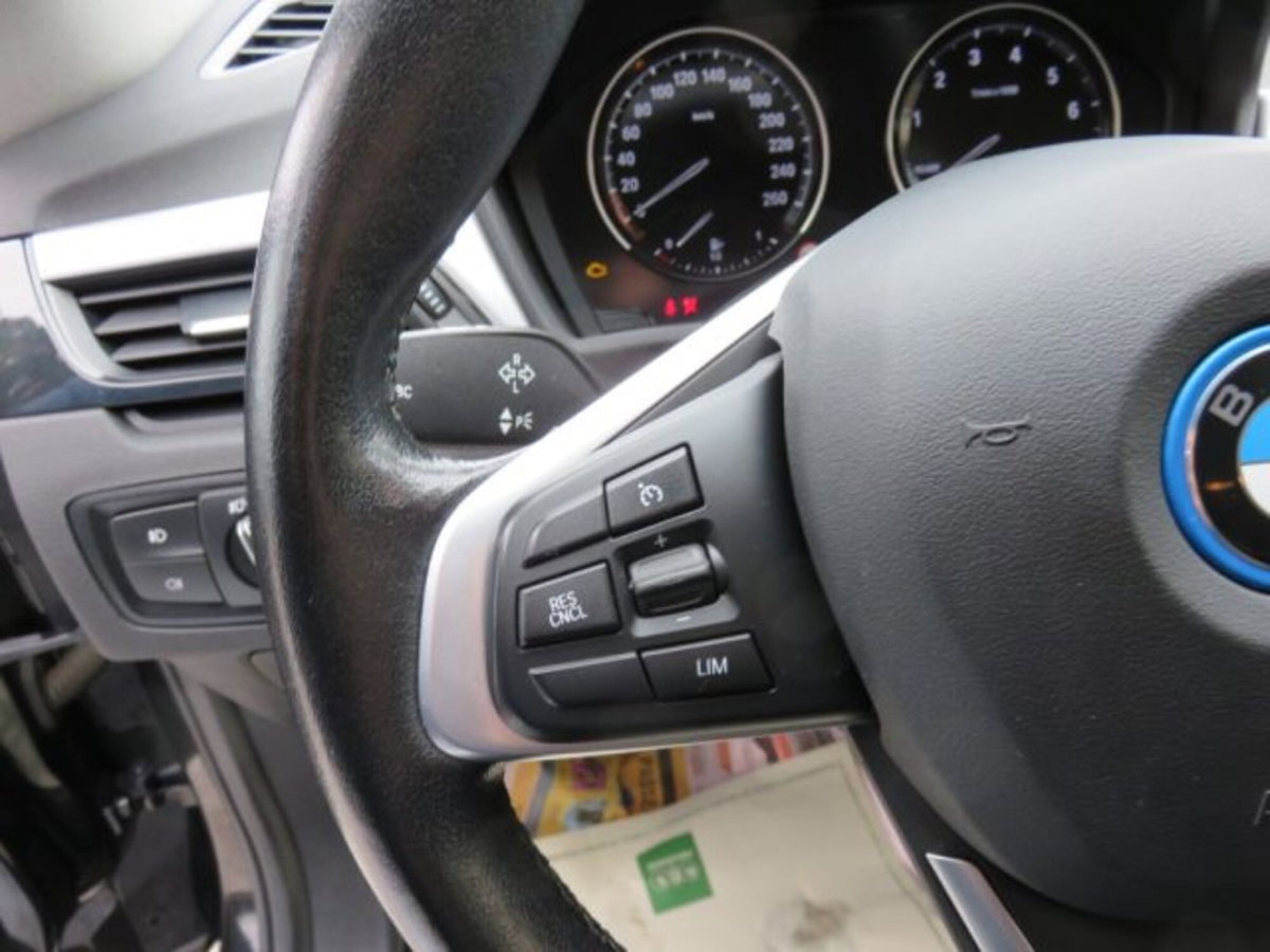 BMW X1 xDrive25e Business Advantage (17)