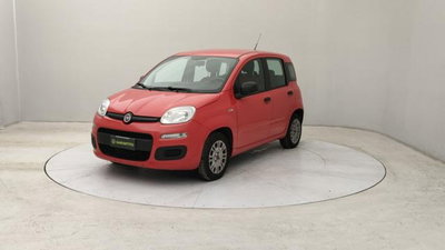 Fiat Panda 1.2 Easy usata