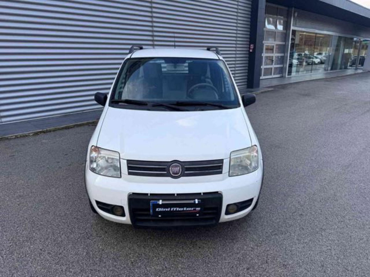 Fiat Panda 1.2 Climbing Natural Power (2)