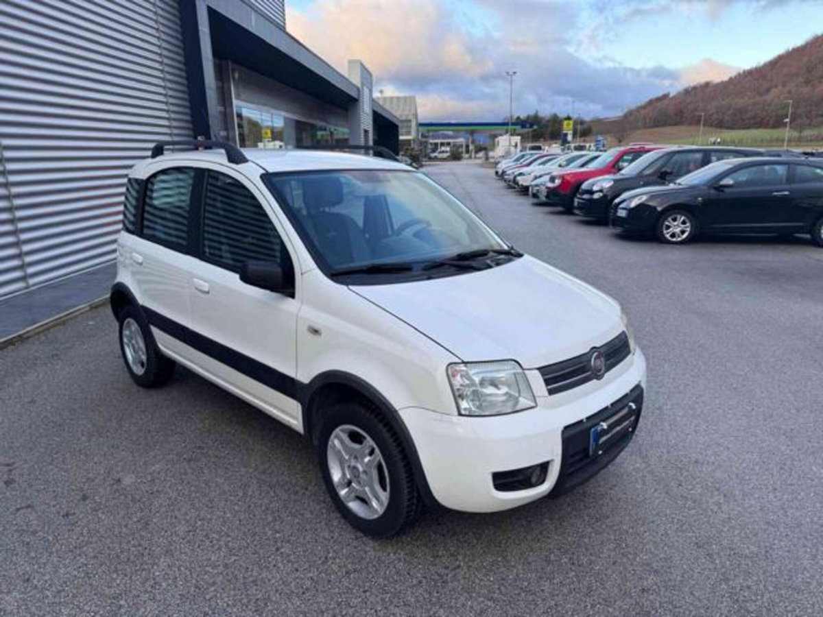 Fiat Panda 1.2 Climbing Natural Power (3)