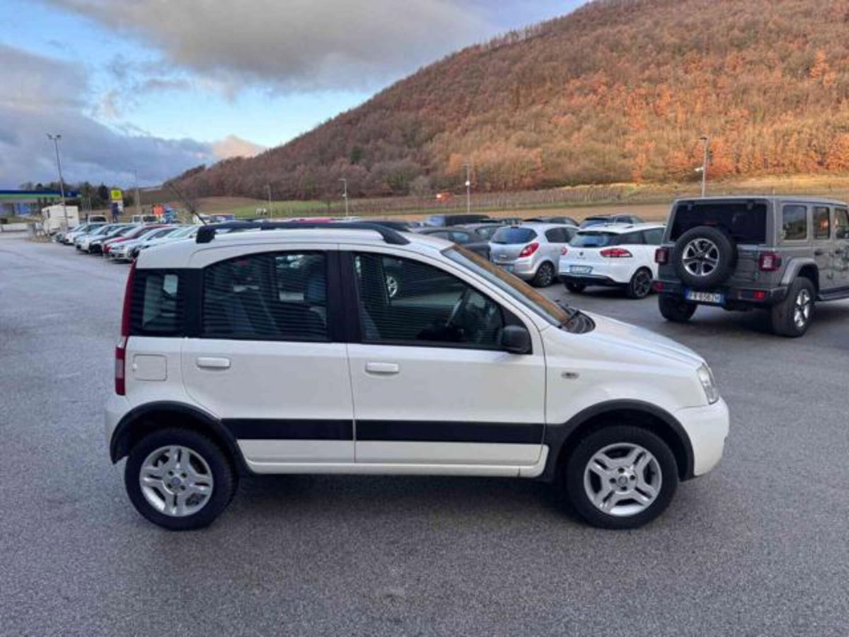 Fiat Panda 1.2 Climbing Natural Power (4)