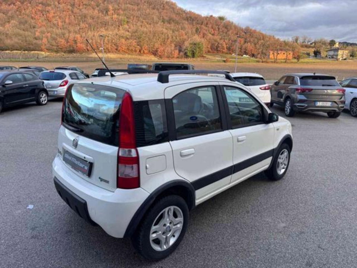 Fiat Panda 1.2 Climbing Natural Power (5)
