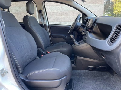 Fiat Panda Cross 1.0 firefly hybrid Cross s&s 70cv 5p.ti (14)