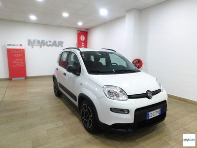 Fiat Panda 1.0 FireFly S&S Hybrid City Cross usata