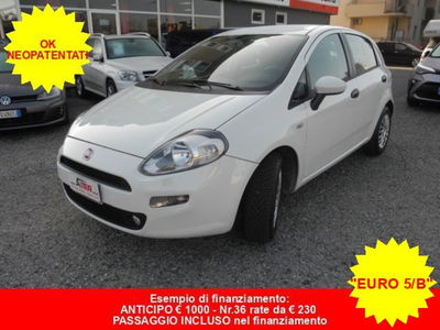 Fiat Punto 1.3 MJT II 75 CV 5 porte Street usata