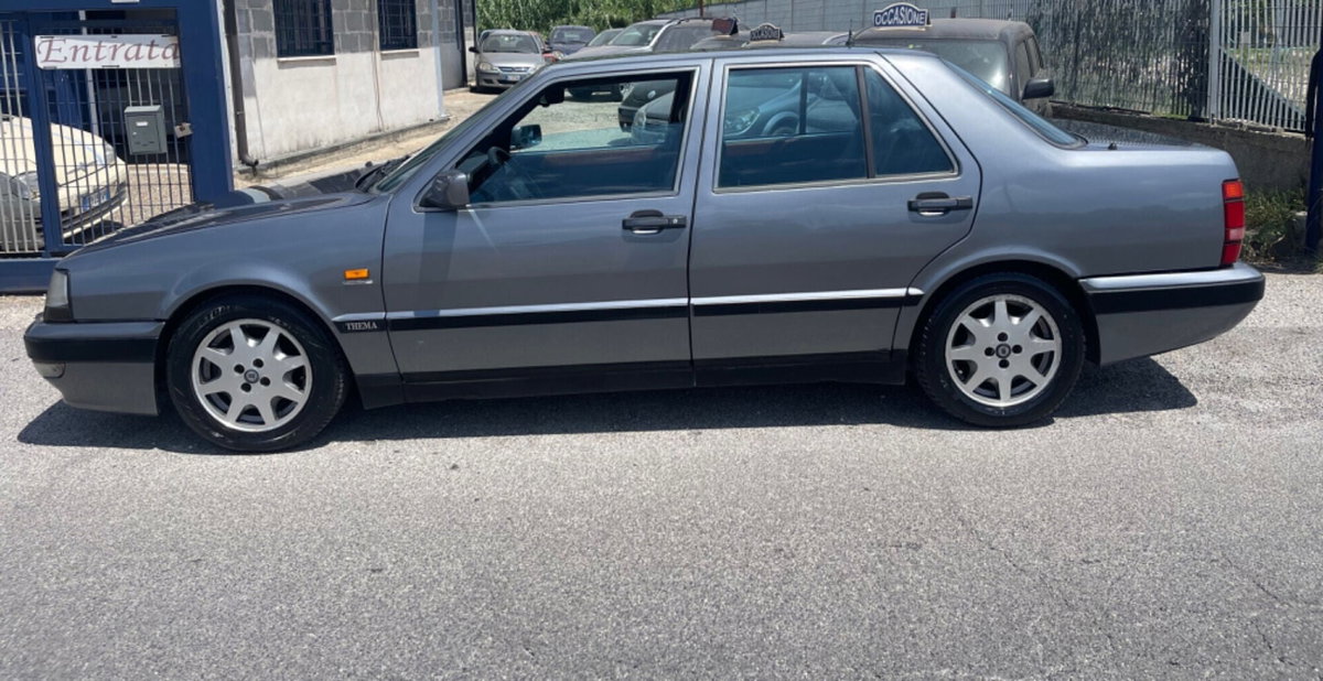 Lancia Thema cat (2)