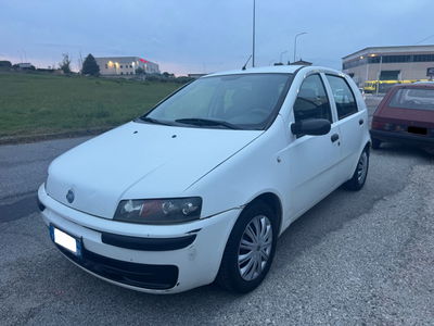 Fiat Punto 1.2i cat 5 porte ELX usata