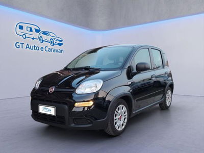 Fiat Panda 1.0 firefly hybrid s&s 70cv 5p.ti usata