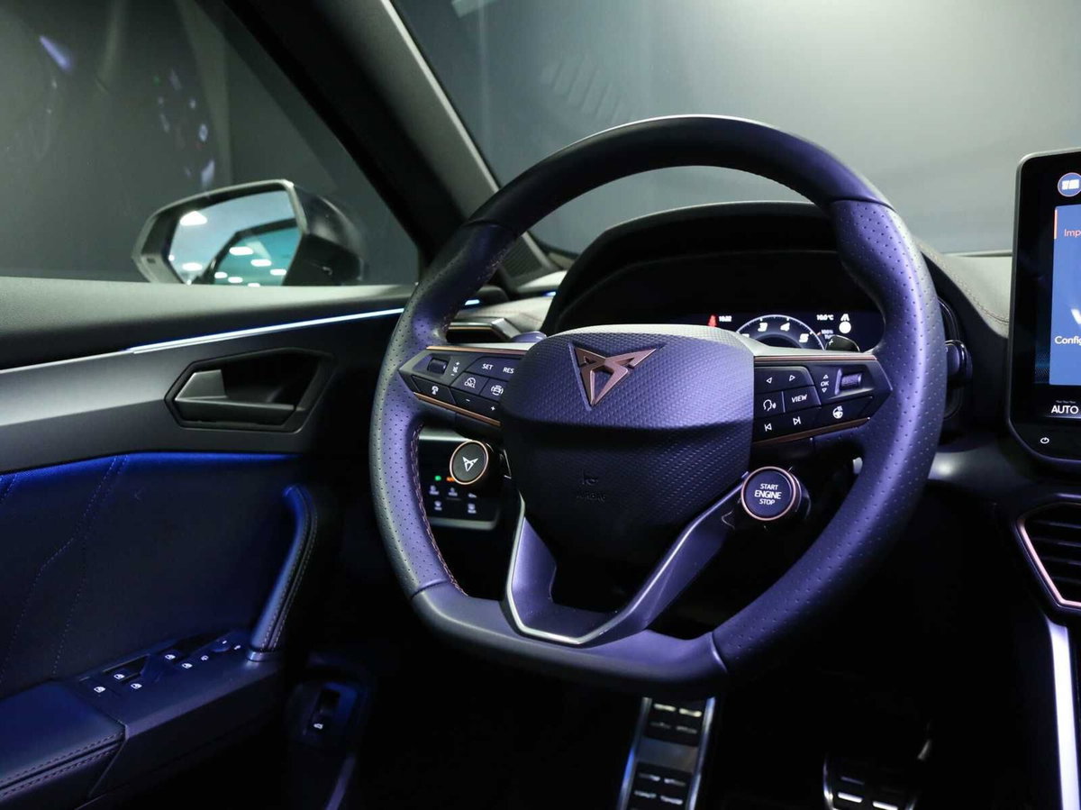 Cupra Formentor 1.5 hybrid 150cv dsg (9)
