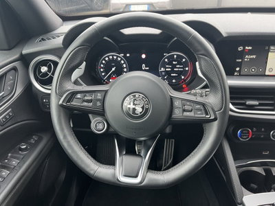 Alfa Romeo Stelvio Stelvio 2.2 Turbodiesel 210 CV AT8 Q4 Veloce (11)