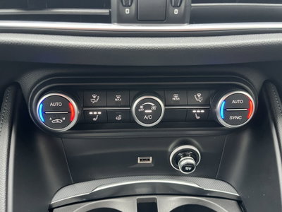 Alfa Romeo Stelvio Stelvio 2.2 Turbodiesel 210 CV AT8 Q4 Veloce (18)