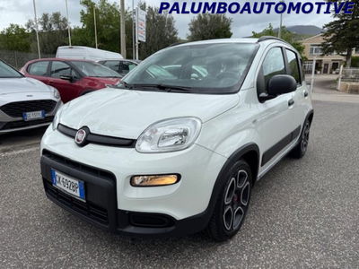 Fiat Panda 1.0 firefly hybrid s&s 70cv 5p.ti usata