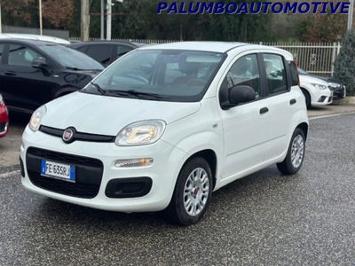 Fiat Panda 1.2 EasyPower Lounge usata