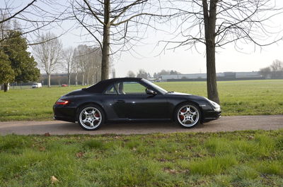 Porsche 911 Cabrio Carrera S usata