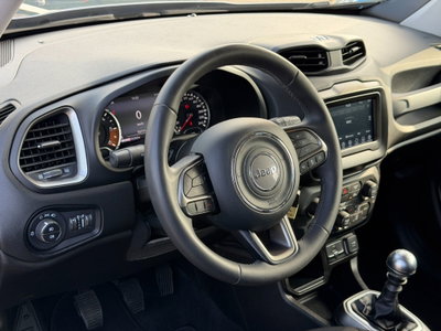 Jeep Renegade 1.6 Mjt 130 CV Limited (10)