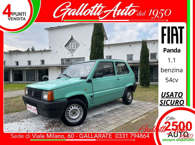 Fiat Panda 1100 i.e. cat Young