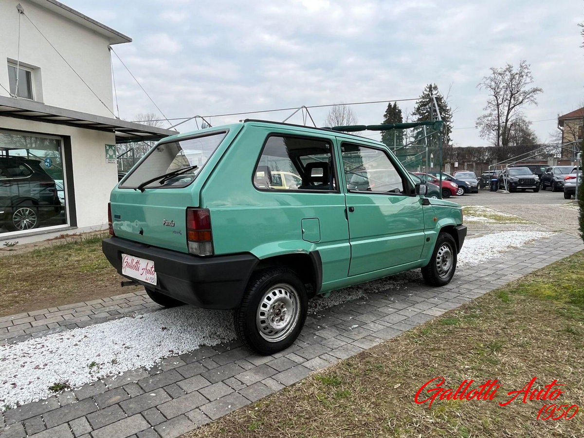 Fiat Panda 1100 i.e. cat Young (17)