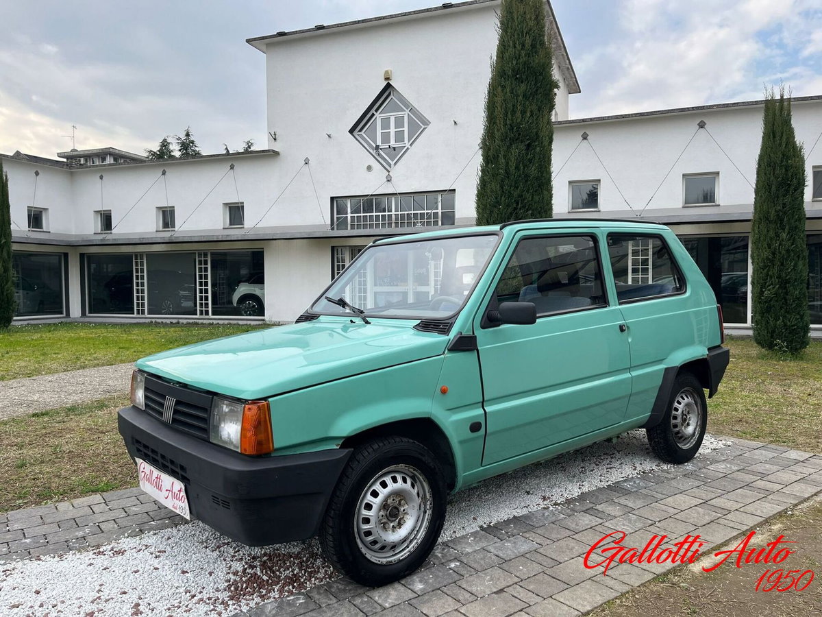Fiat Panda 1100 i.e. cat Young (18)