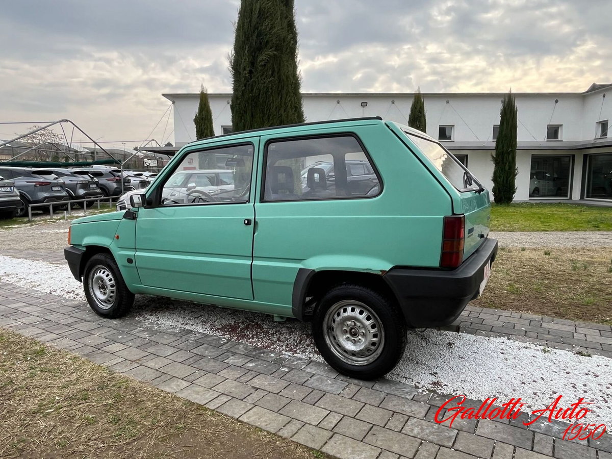 Fiat Panda 1100 i.e. cat Young (2)