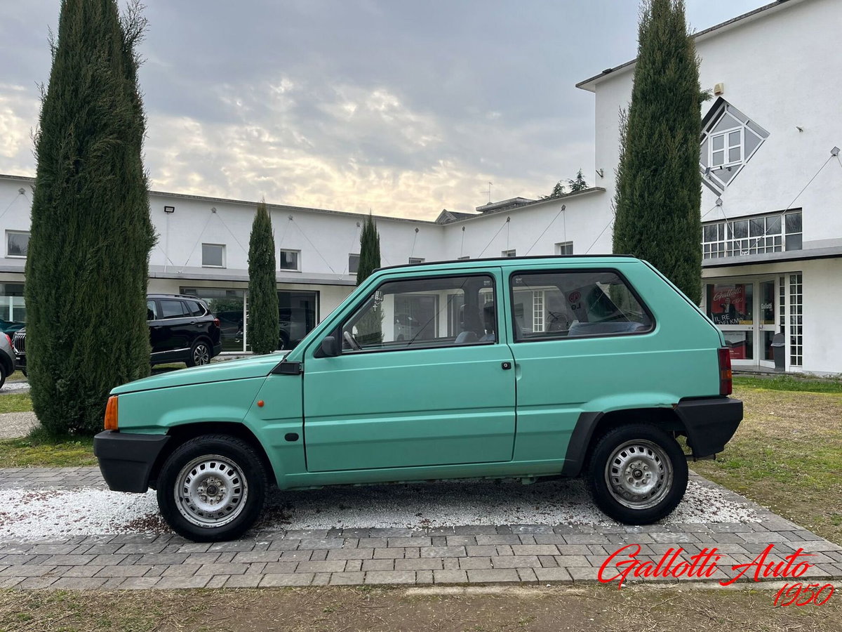 Fiat Panda 1100 i.e. cat Young (3)