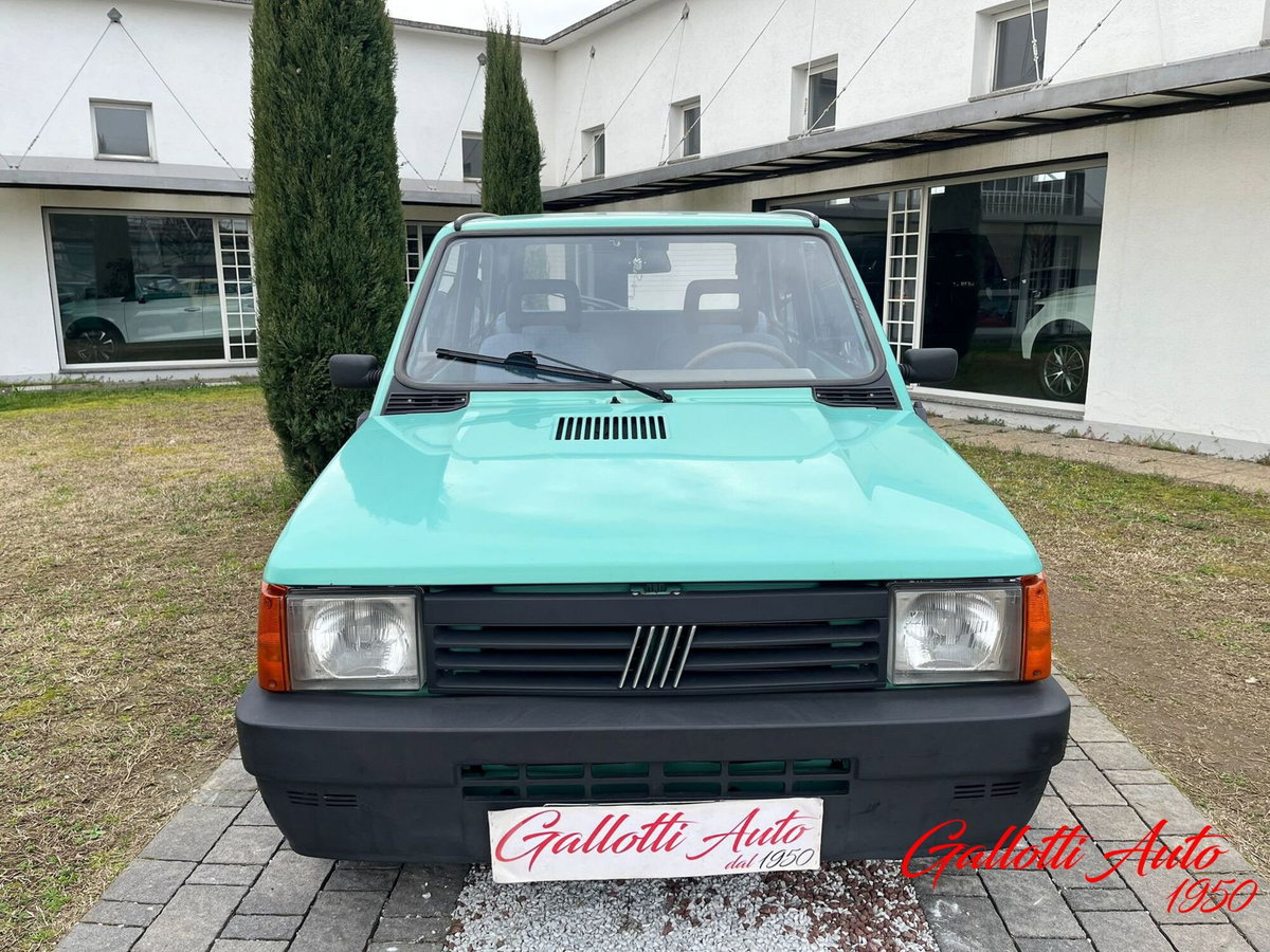 Fiat Panda 1100 i.e. cat Young (4)