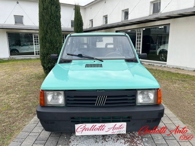 Fiat Panda 1100 i.e. cat Young (4)