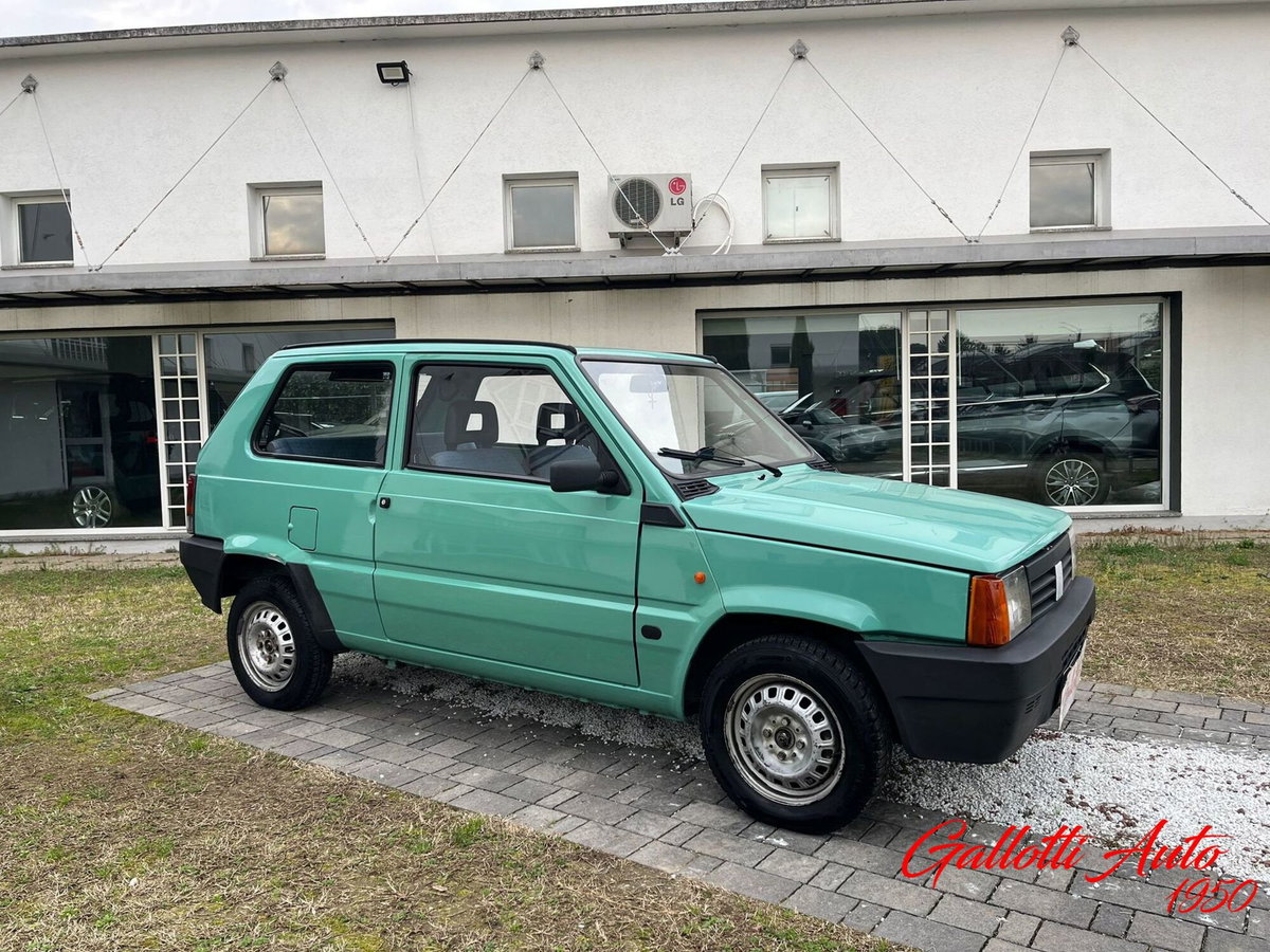 Fiat Panda 1100 i.e. cat Young (5)