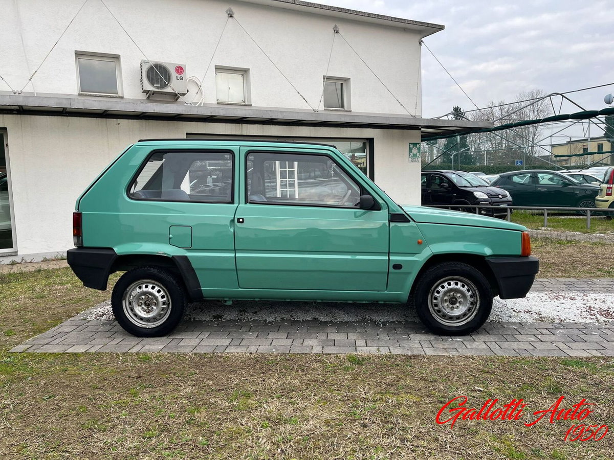 Fiat Panda 1100 i.e. cat Young (6)