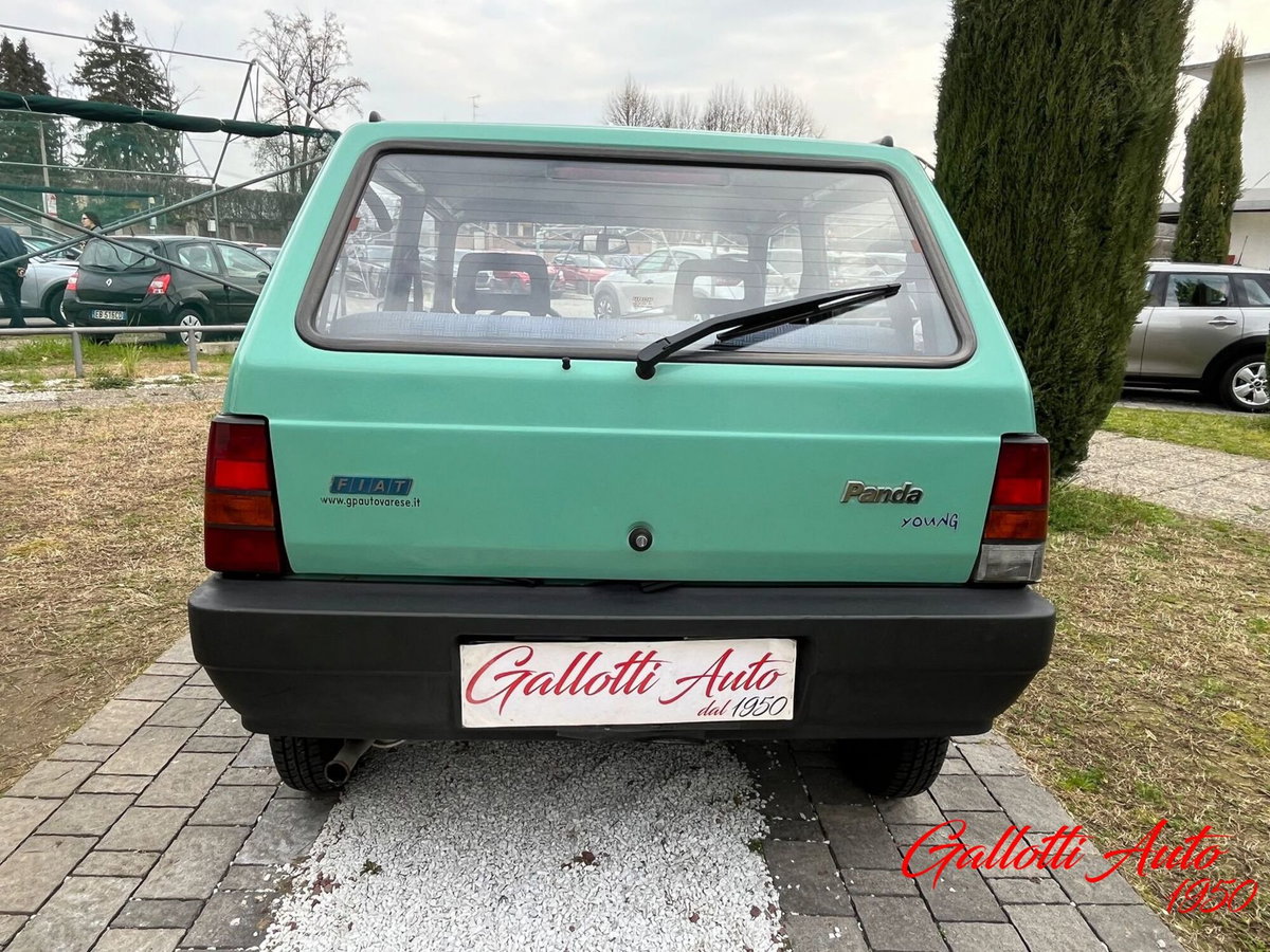Fiat Panda 1100 i.e. cat Young (7)