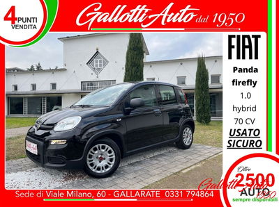 Fiat Panda Cross Cross 1.0 FireFly S&S Hybrid usata