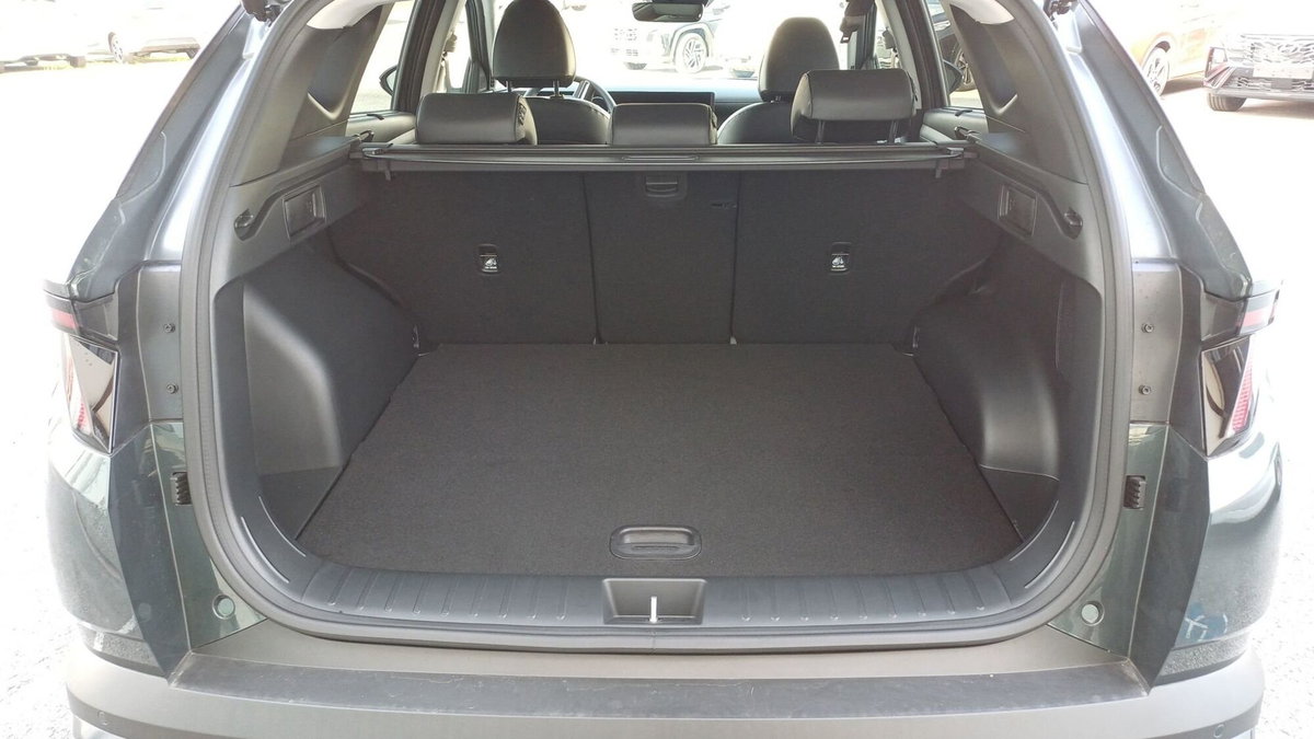 Hyundai Tucson 1.6 hev Exellence 2wd auto (8)