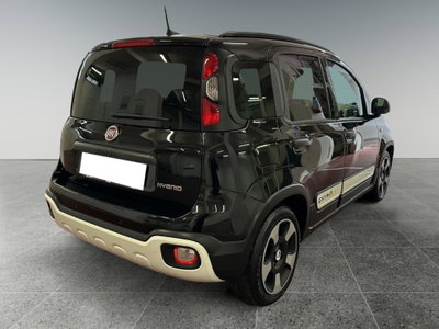 Fiat Panda Cross Cross 1.0 FireFly S&S Hybrid (6)