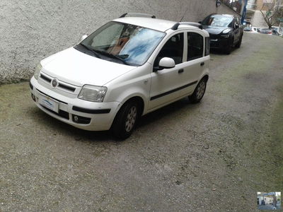 Fiat Panda 1.2 Dynamic usata