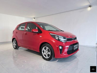 Kia Picanto 1.0 12V 5 porte X Line usata