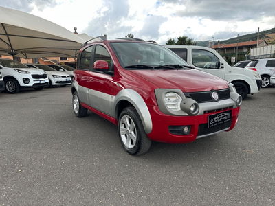 Fiat Panda 1.3 MJT 16V DPF 4x4 Cross usata