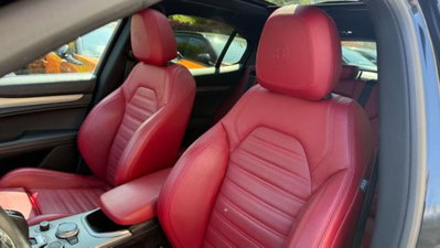 Alfa Romeo Stelvio Stelvio 2.2 Turbodiesel 210 CV AT8 Q4 Veloce (19)