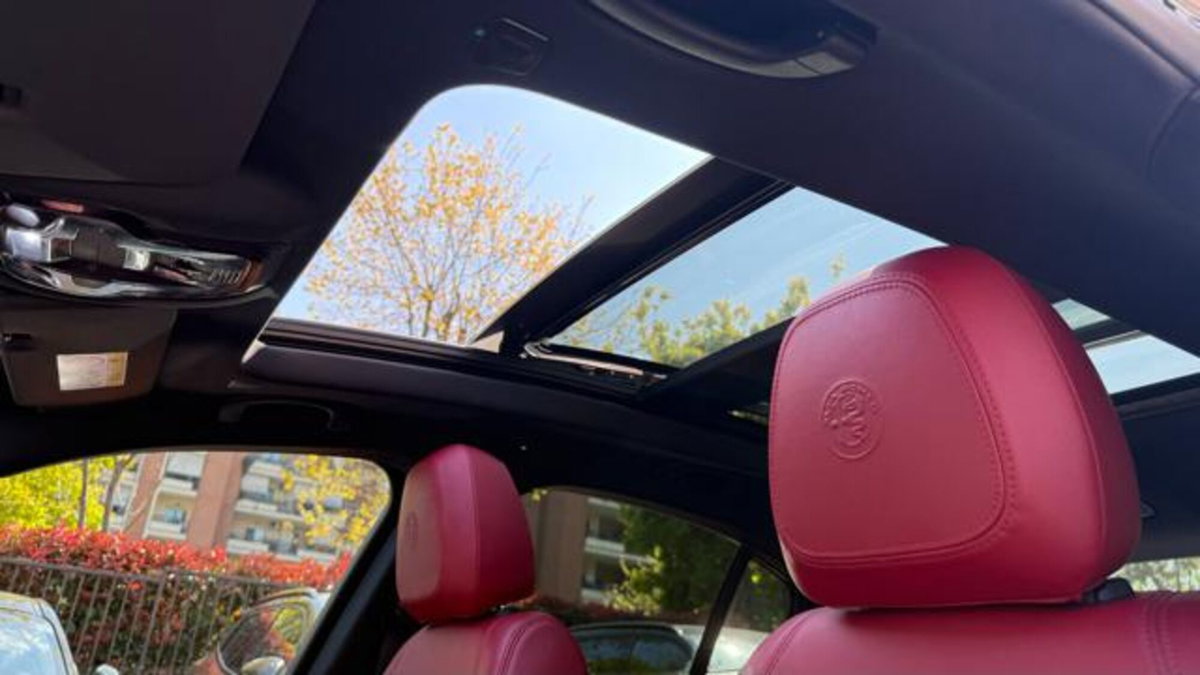 Alfa Romeo Stelvio Stelvio 2.2 Turbodiesel 210 CV AT8 Q4 Veloce Tì (20)