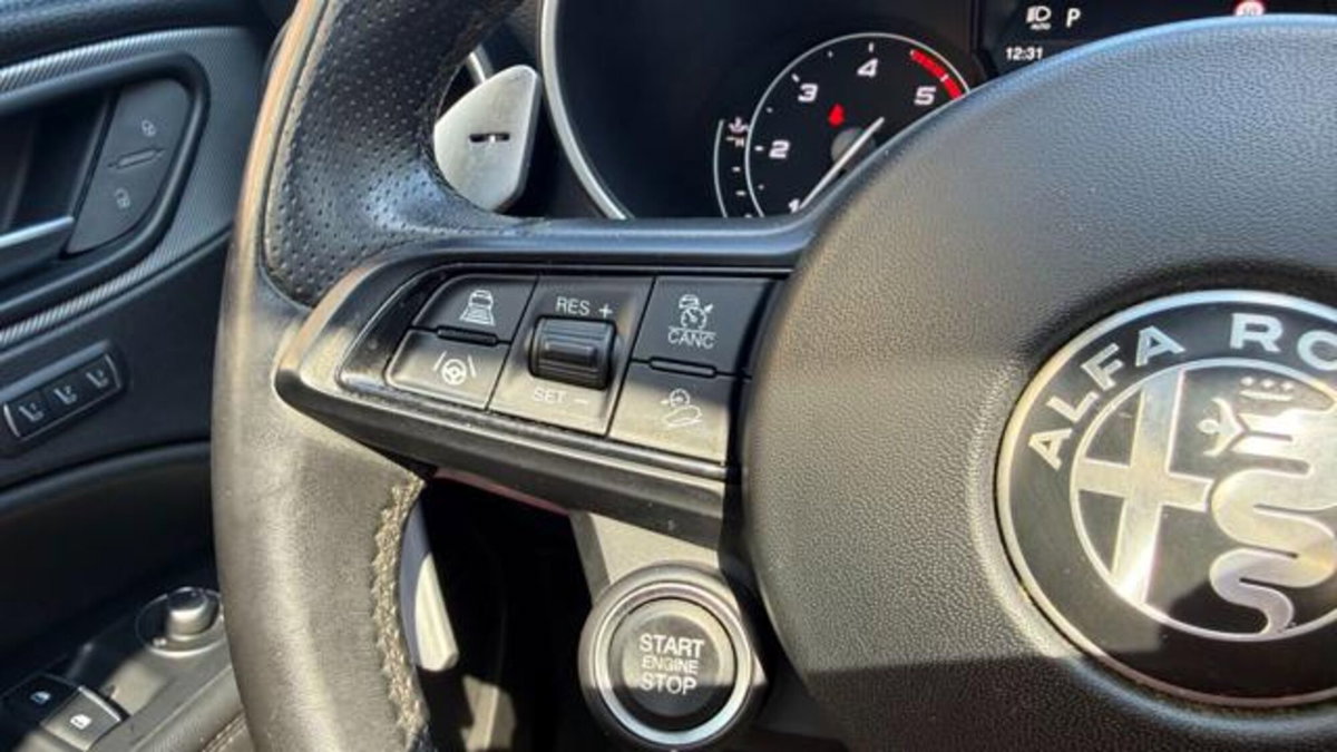 Alfa Romeo Stelvio Stelvio 2.2 Turbodiesel 210 CV AT8 Q4 Veloce Tì (7)